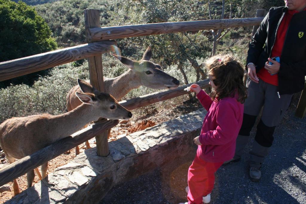 Complejo Turistico Las Canadas Casas De Campo- Actividades Gratuitas Todos Los Fines De Semana Banos De Montemayor Kültér fotó